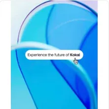 The Trade Desk carousel ad on LinkedIn: Meet Zuma, the next evolution of Kokai