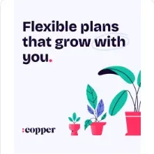 Copper carousel ad on LinkedIn: Flexible plans that grow with you.